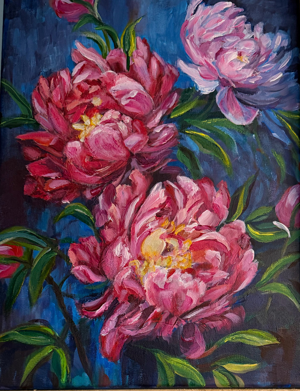 Midnight Peony